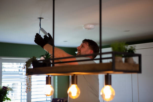 Best Electric Panel Repair  in Plymouth, MN